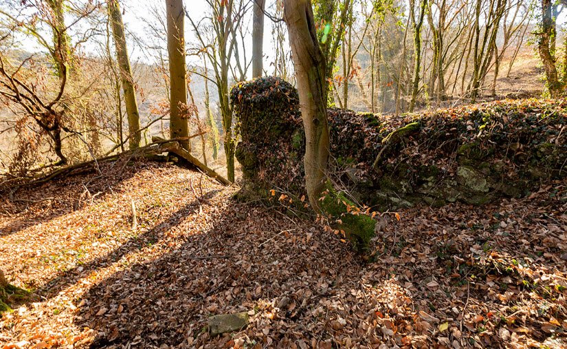 Burg Neu-Elkerhausen, Weinbach, Germany, Germany